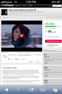 My Indiegogo Campaign